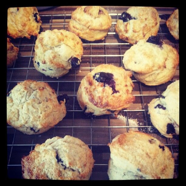 Blueberry scones